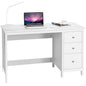 Modern Computer Desk with 3 Drawers for Home Office
