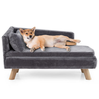 Elevated Pet Bed for Medium and Small Dogs Puppies Cats Kittens