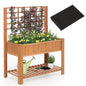 2 Tier Raised Garden Bed with Trellis for Climbing Plants Vines Fruit