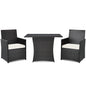 3 Pieces Patio PE Wicker Set with Tempered Coffee Table