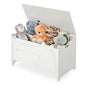 Kids Bench and Storage Chest with Safety Hinged Lid