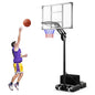 All Weather Basketball Goal System with 2 Wheels