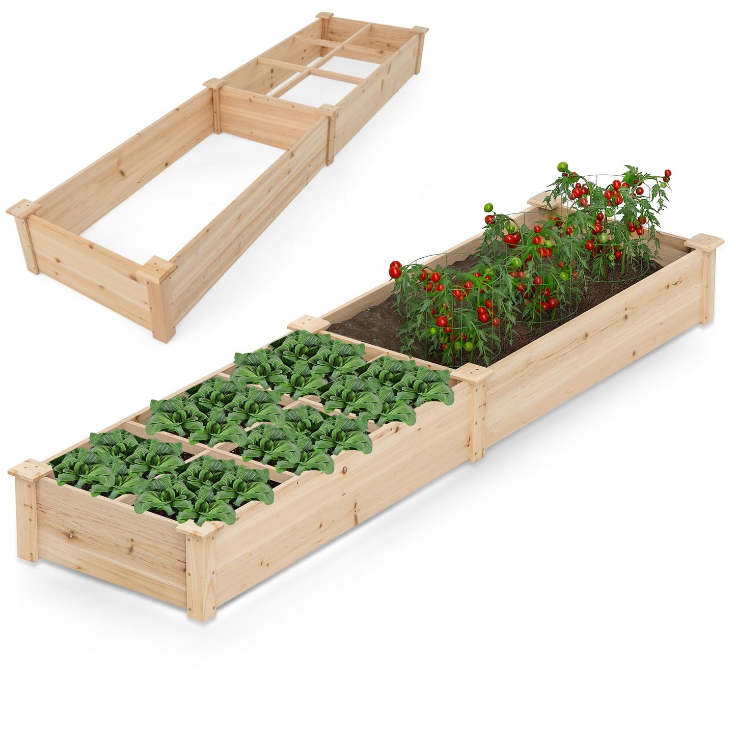 Wooden Raised Garden Bed with 2 Planter Boxes and Dividers