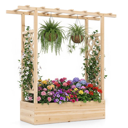 Garden Planter with Trellis, Hanging Roof and Drainage Holes