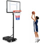 10FT Portable Basketball Hoop and Stand with Wheels