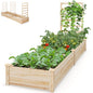 Raised Garden Bed with Planter Box and Trellis