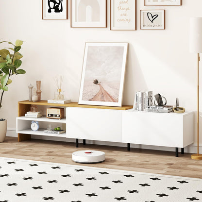 TV Stand for 80 Inches TVs with Storage Shelves and Cabinets