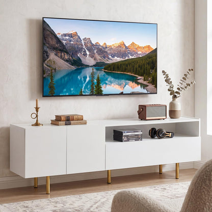 Modern Entertainment Center with 2 Doors Drawer and 5 Metal Legs