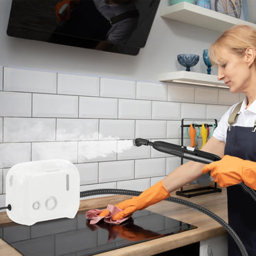 1600W Portable Steam Cleaner with 1L Water Tank