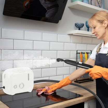 1600W Portable Steam Cleaner with 1L Water Tank