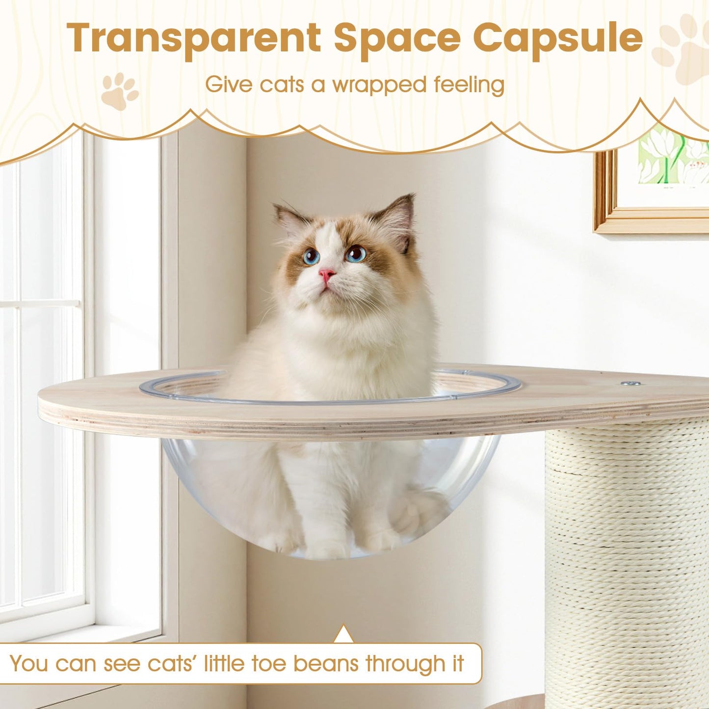 Wooden Cat Tree 3-Level Cute Kitten Tower with Condo Space Capsule Scratching Posts