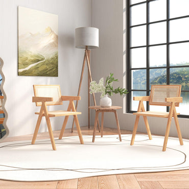 Rattan Accent Chairs Set of 2 with Natural Bamboo Frame