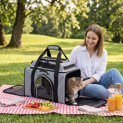 Airline Approved Rolling Cat and Dog Carrier with and Telescopic Handle