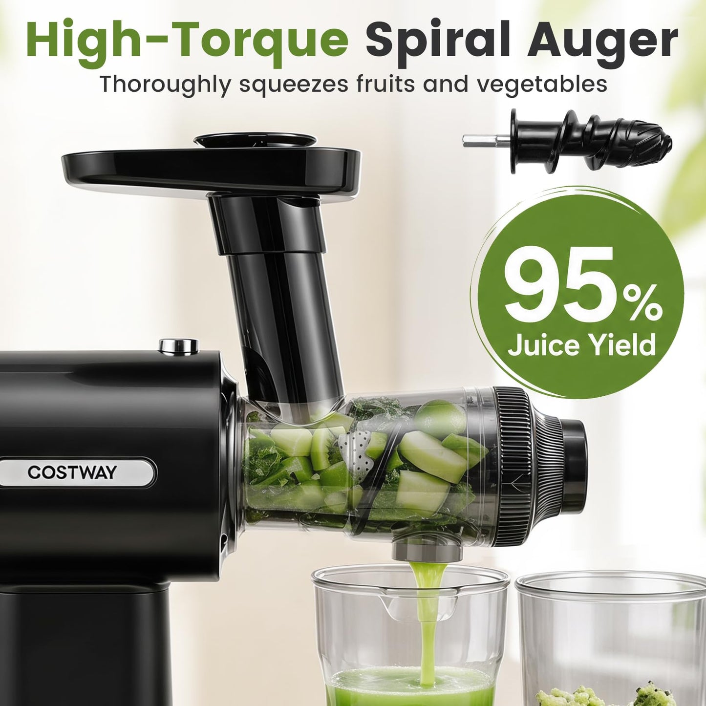 Cold Press Juicer Machine with Reverse Function, Pusher & Brush