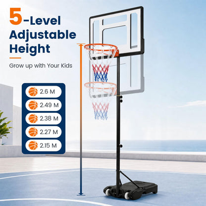 10FT Portable Basketball Hoop and Stand with Wheels