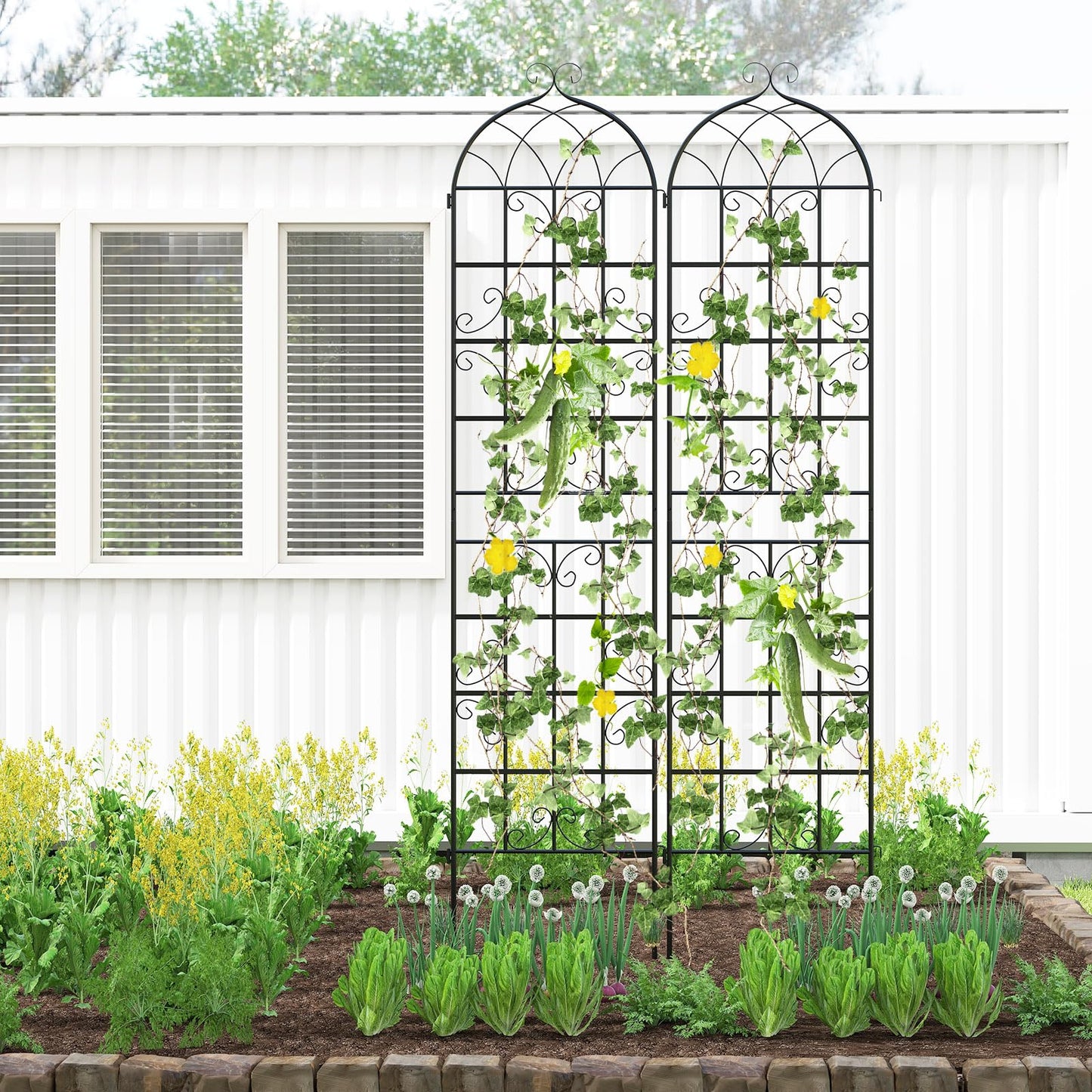 Metal Trellis for Climbing Plants Rose Vines Tomato