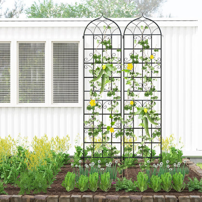 Metal Trellis for Climbing Plants Rose Vines Tomato