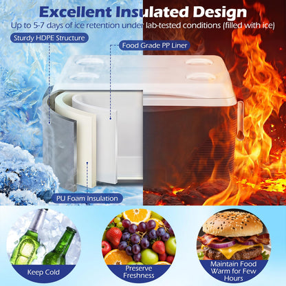 41L Insulated Cool Box, Hard Cooler Ice Chest Box for Cold/Hot Food & Drink with Handle