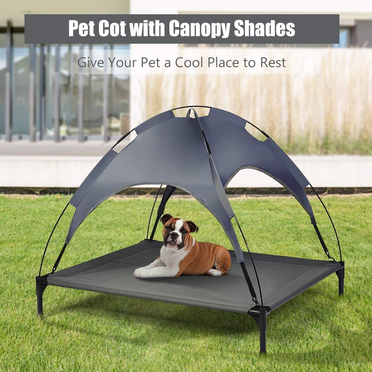 Steel Frame Elevated Pet Cot with Removable Canopy