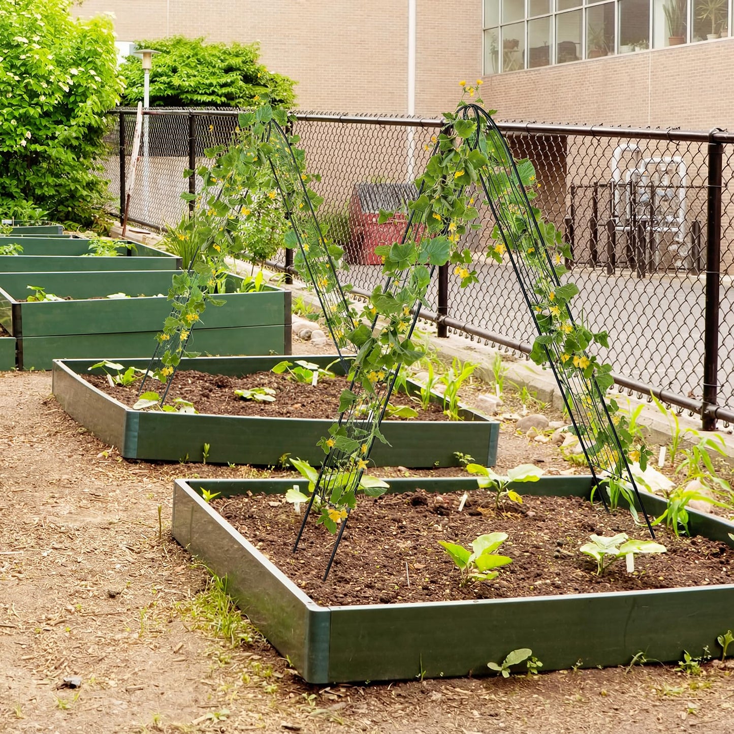 2/4 Pack Garden Trellis, 180/220 x 50cm Galvanized Steel Trellis for Climbing Plants
