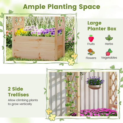 Garden Planter with Trellis for Climbing Vine Plants