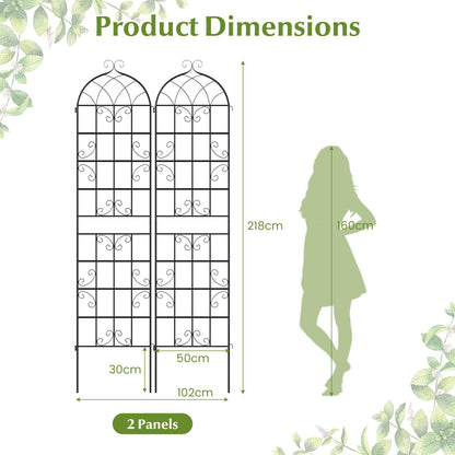 Metal Trellis for Climbing Plants Rose Vines Tomato