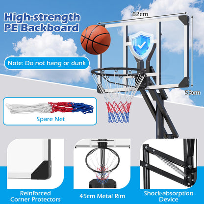 10FT Basketball Hoop and Stand for Kids and Adult