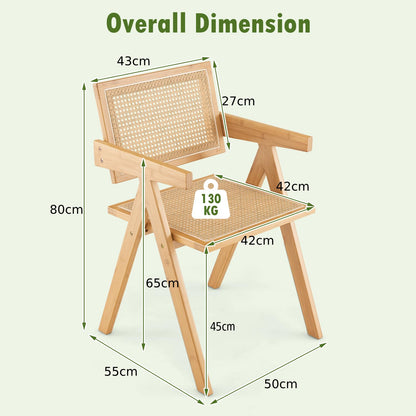 Rattan Accent Chairs Set of 2 with Natural Bamboo Frame