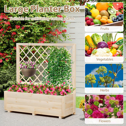 Freestanding Raised Garden Bed for Climbing Vine Plant Flower Vegetable