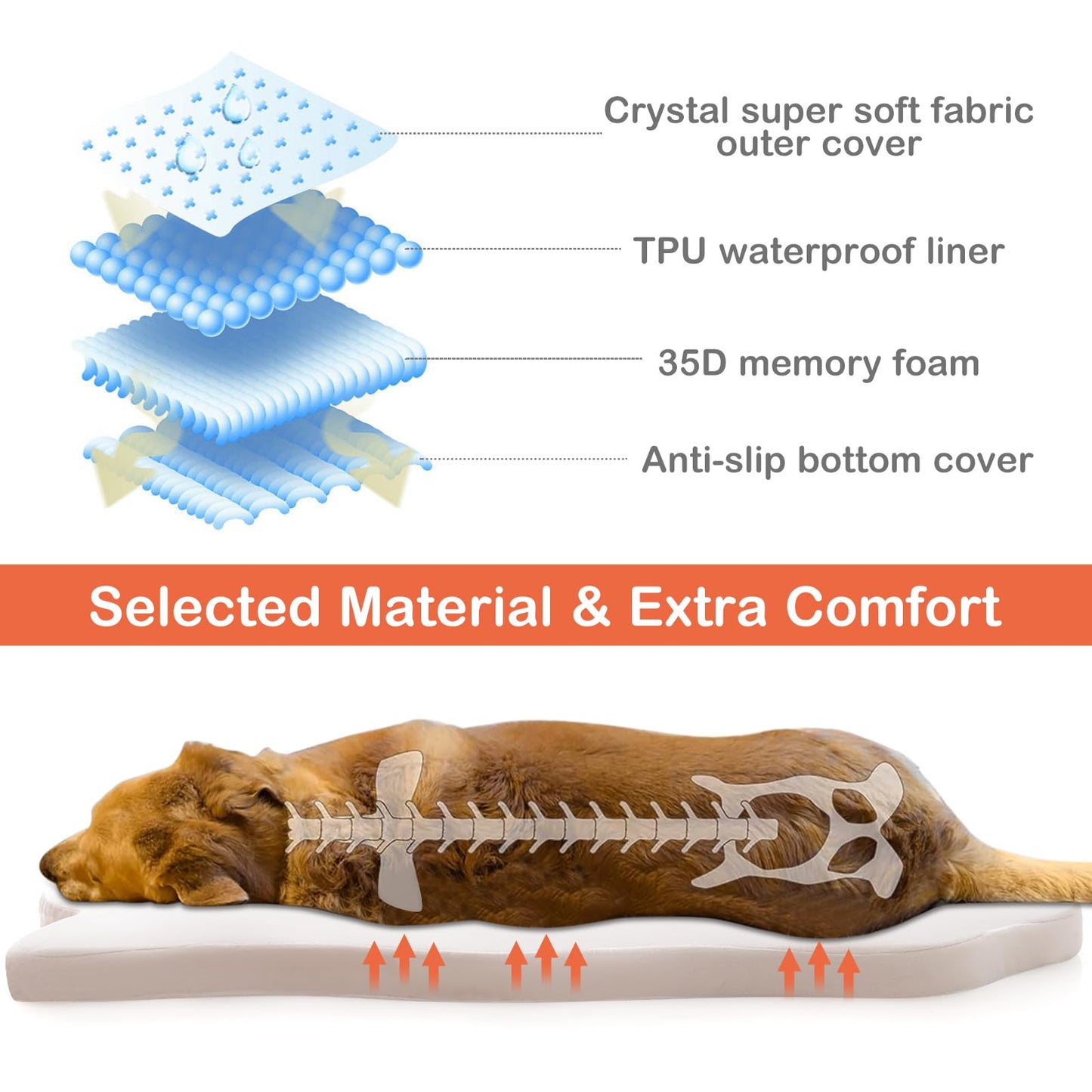 Large Dog Bed with Memory Foam Support and Removable Cover