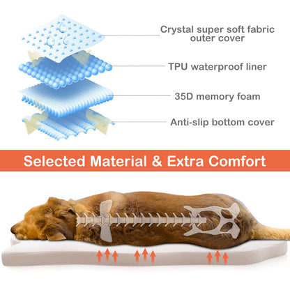 Large Dog Bed with Memory Foam Support and Removable Cover