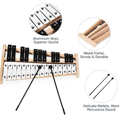 27 Notes Full Size Glockenspiel Xylophone with Carrying Bag