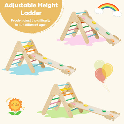 3 in 1 Toddler Climber with Ladder