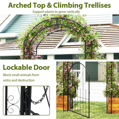Metal Pergola Arbor Trellis for Climbing Plant
