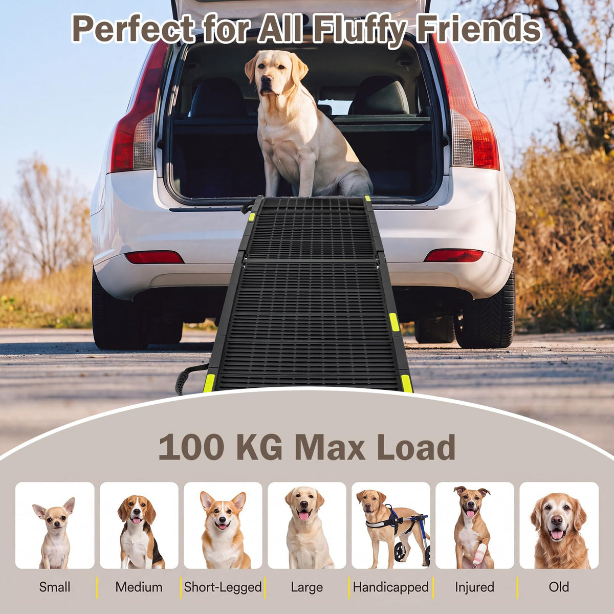 Foldable Dog Ramp, Portable Pet Car Stair with Non-Slip Surface
