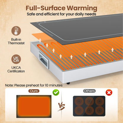 Electric WarmingTray with Adjustable Temperature
