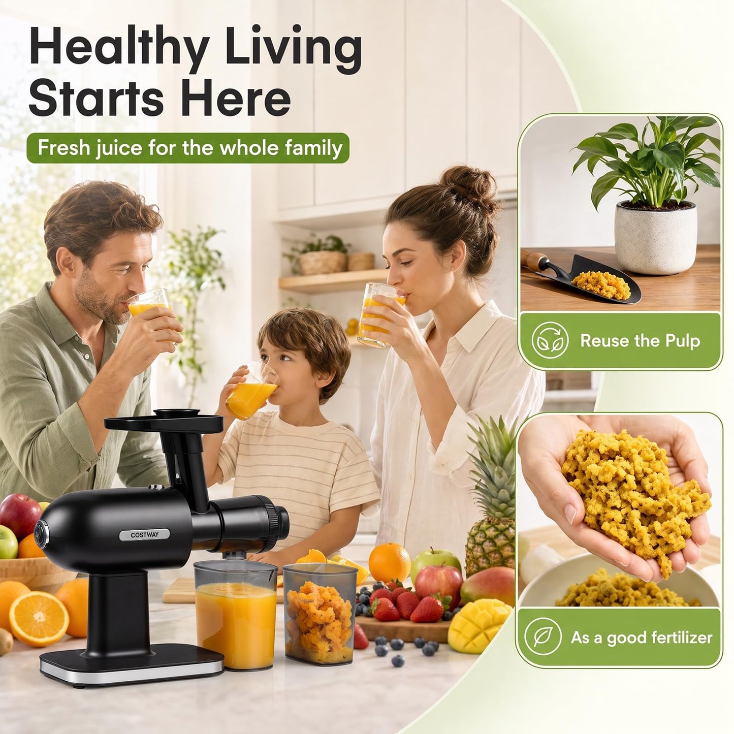 Cold Press Juicer Machine with Reverse Function, Pusher & Brush