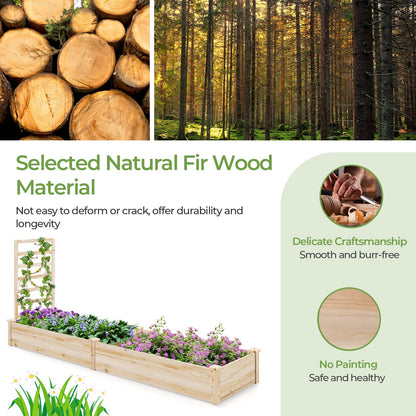 Raised Garden Bed with Planter Box and Trellis