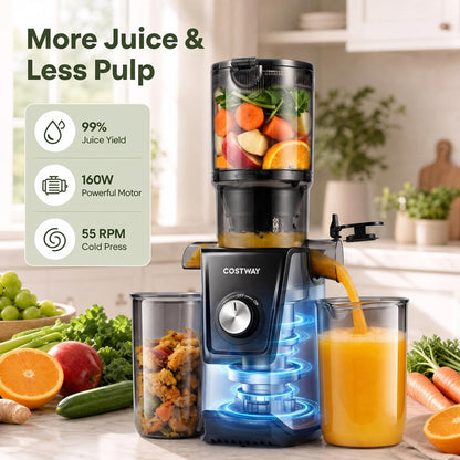 Cold Press Juicer Machine, Self-Feeding Juicer