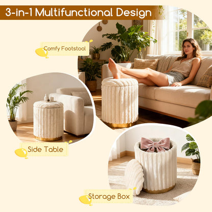Modern Ottoman Set of 2 with Detachable Lids and Hidden Storage Space