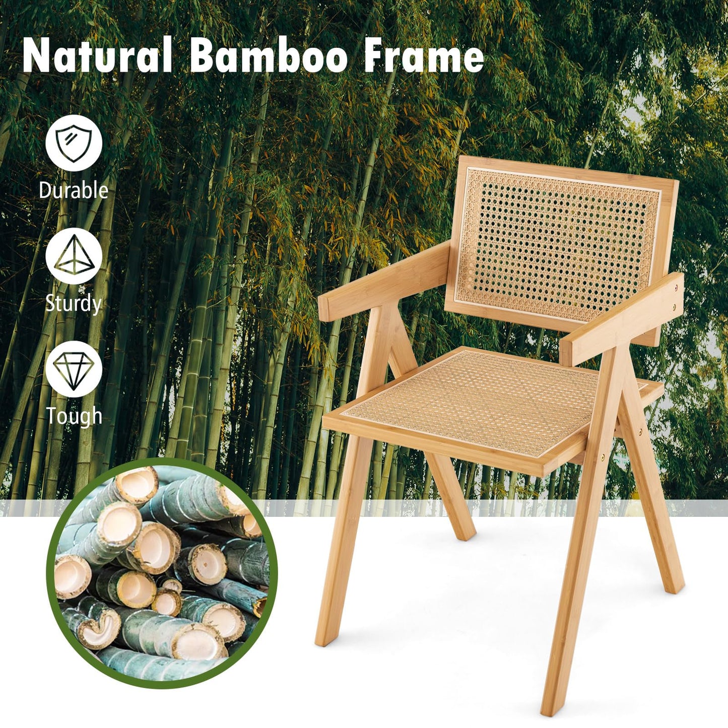 Rattan Accent Chairs Set of 2 with Natural Bamboo Frame