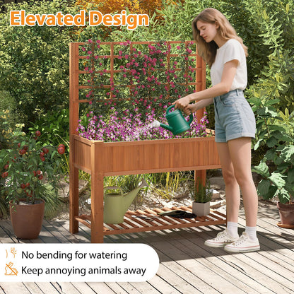 2 Tier Raised Garden Bed with Trellis for Climbing Plants Vines Fruit