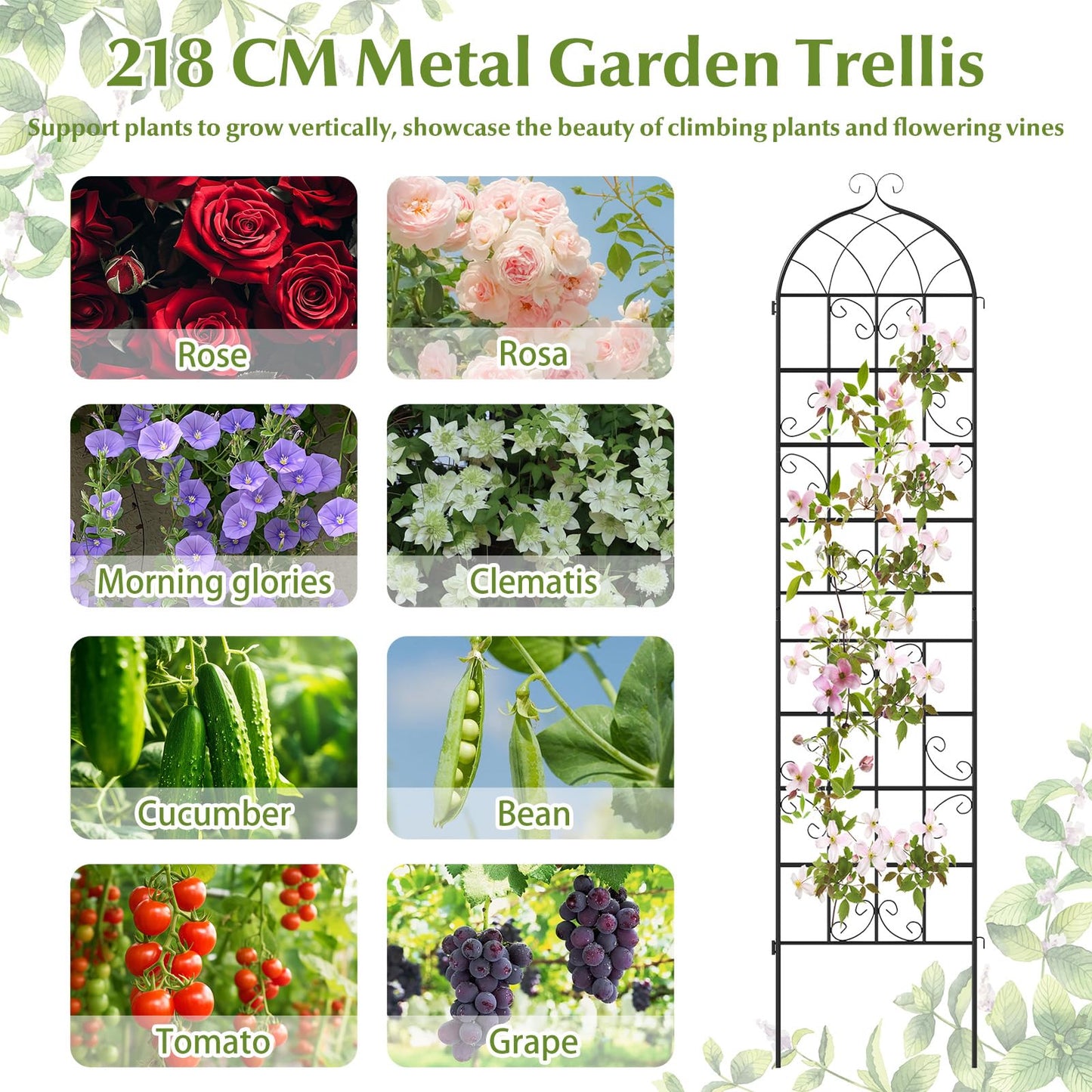 Metal Trellis for Climbing Plants Rose Vines Tomato