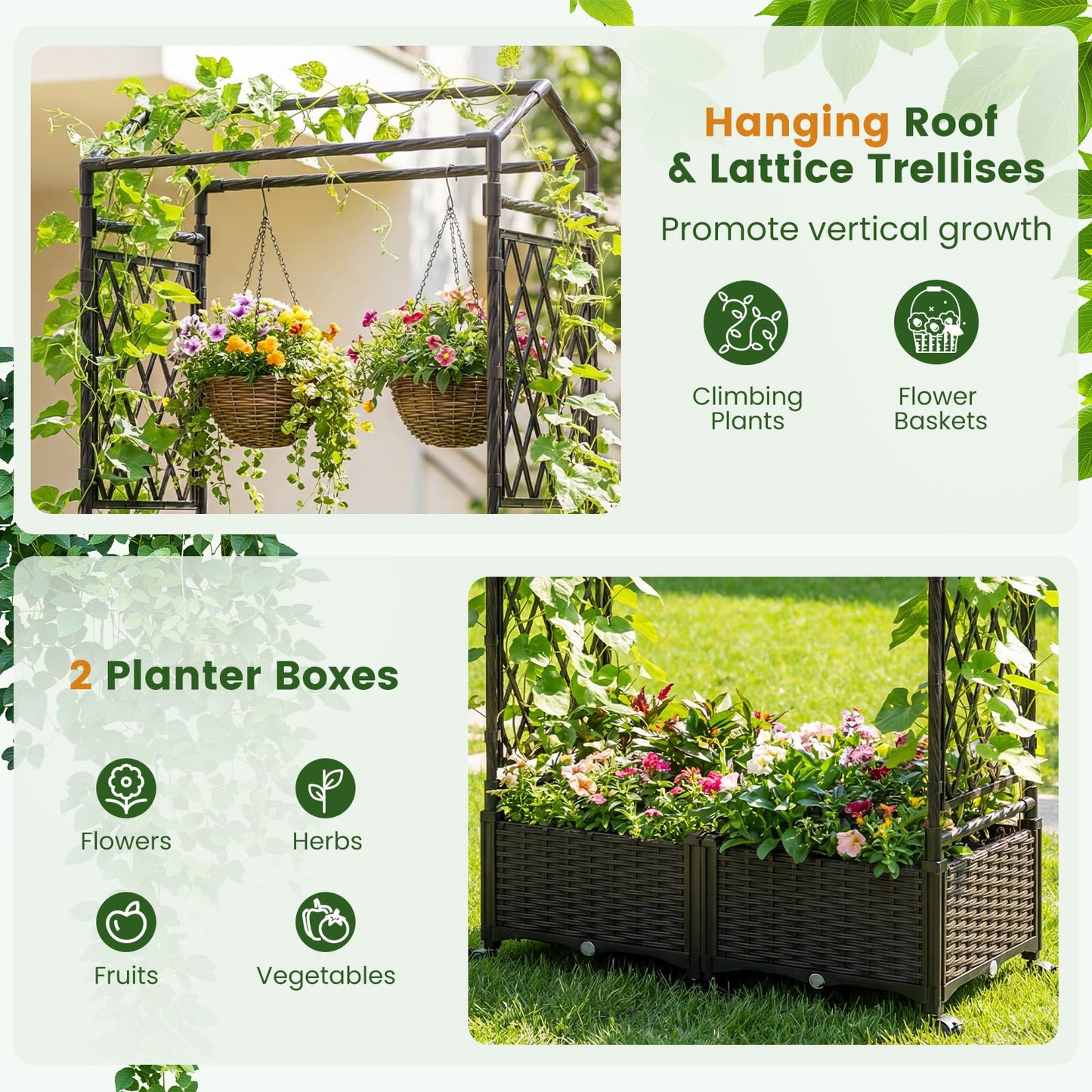 Self-Watering Planter Boxes with Lattice Trellis and Roof for Climbing Vine