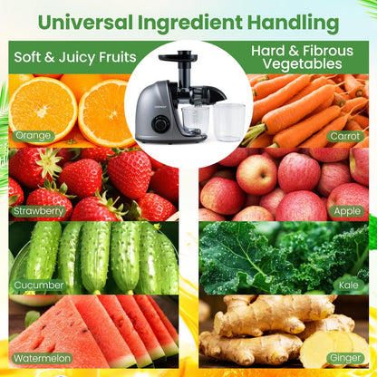 Cold Press Juicer Machine, 7-Stage System, BPA-Free (95% Yield)