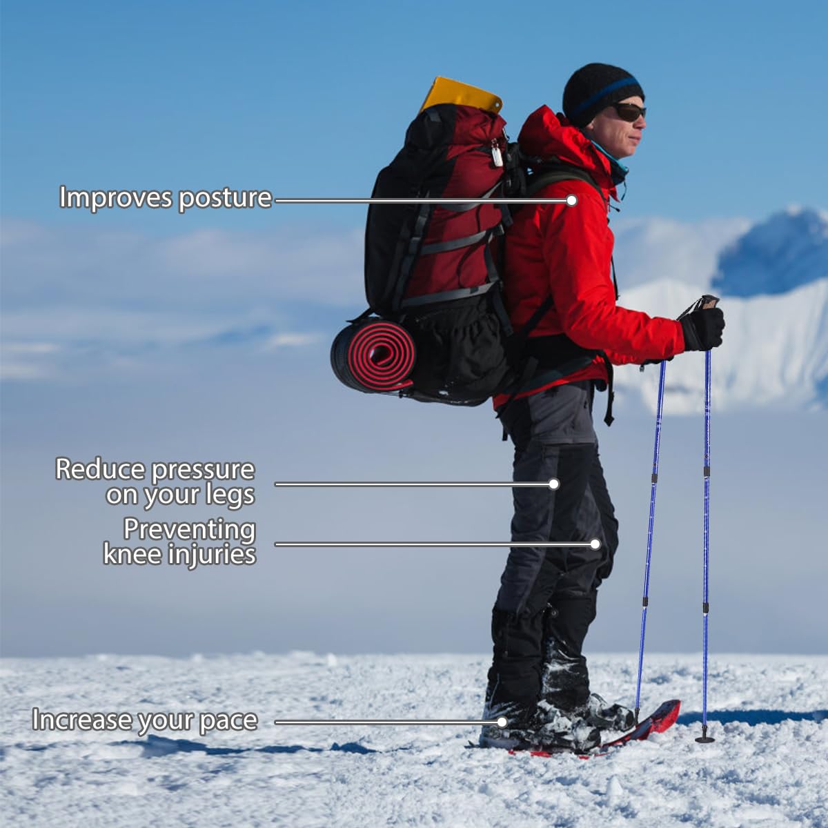 Hiking Pole Adjustable 65-135 cm