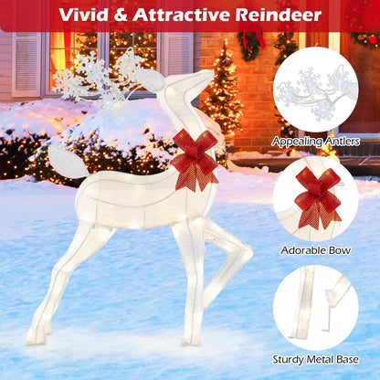 Christmas Lighted Reindeer with 48 Warm White LED Lights