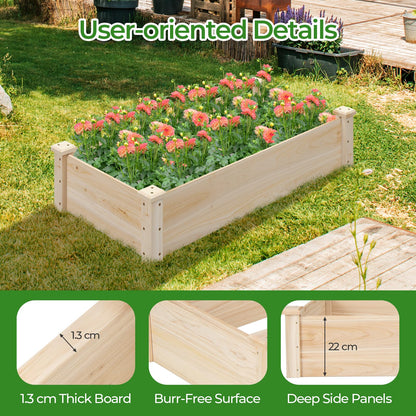 Rectangular Wooden Elevated Planter Box with Open Bottom