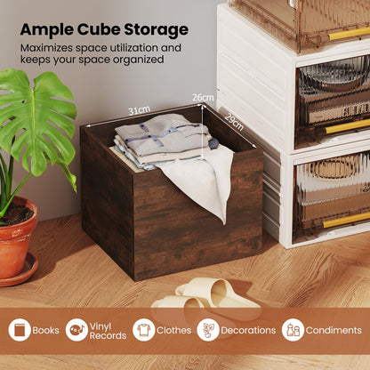 Set of 4 Cube Storage Organizers for Small Space
