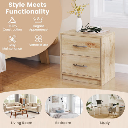 2-Drawer Nightstand with Storage for Living Room Bedroom